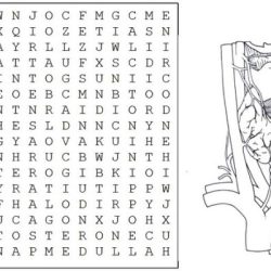 Endocrine system word search answer key