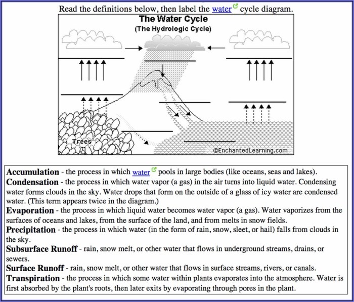 Cell cycle and cancer worksheet pdf