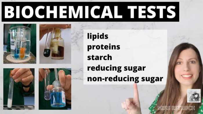 Biochemical tests for food macromolecules