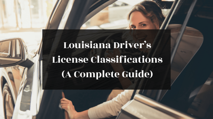 Class d chauffeur's license louisiana study guide