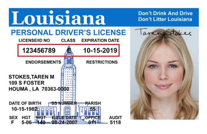 Class d chauffeur's license louisiana study guide