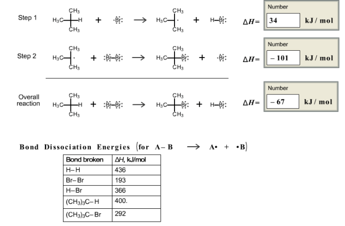 Bromination of isobutane is a two step reaction