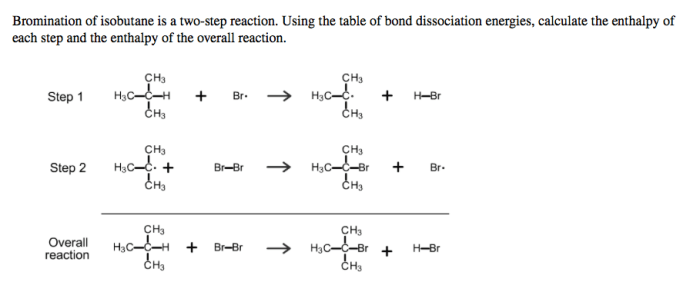 Bromination of isobutane is a two step reaction